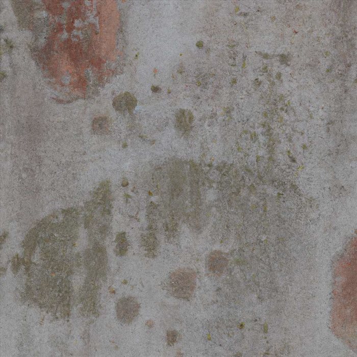 Éliminer les Taches de Moisissure sur les Murs